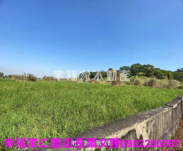 台南關廟農地-15