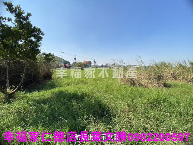 台南關廟農地-4