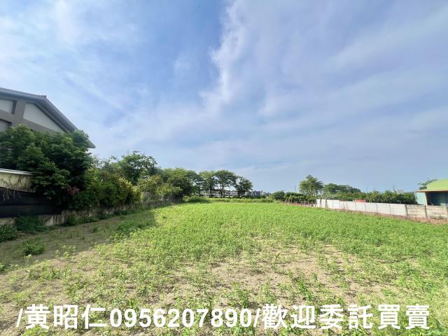 台南善化農地-1