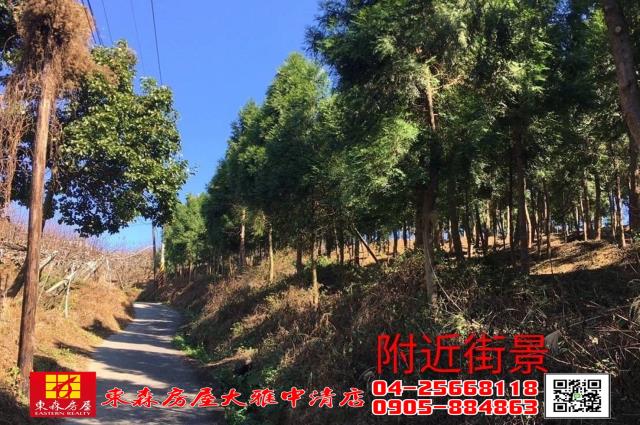 苗栗三義農地-5