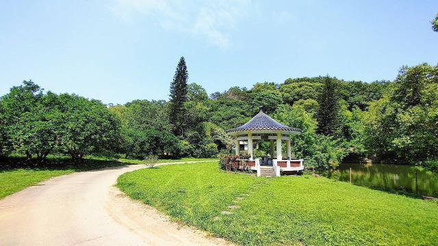 苗栗造橋農地-2