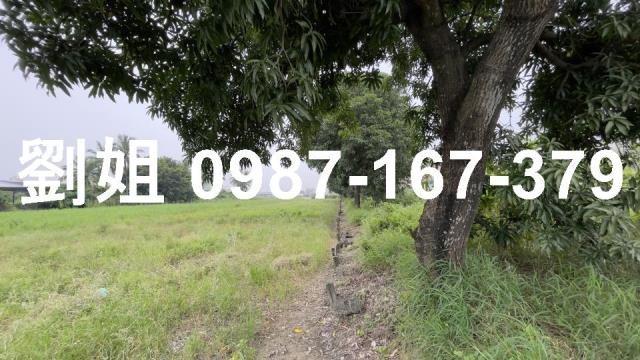 仁德農地-2