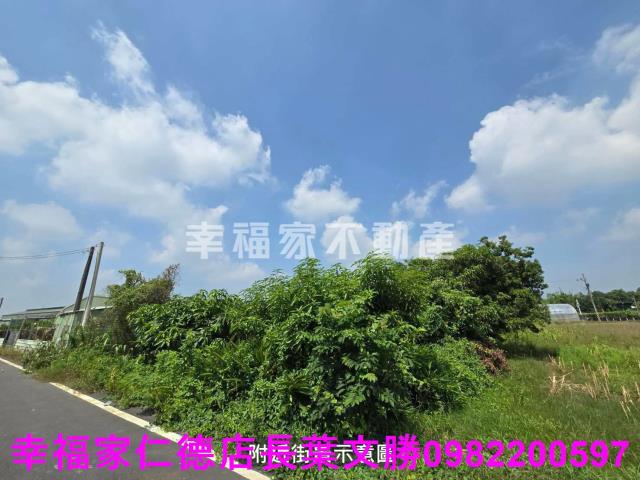 善化農地-11
