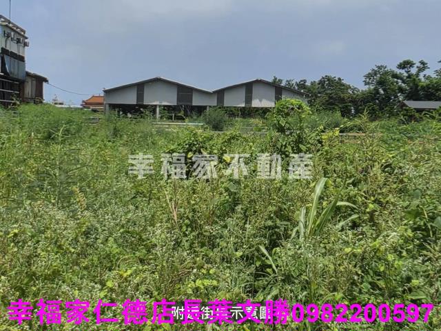 新營農地-6