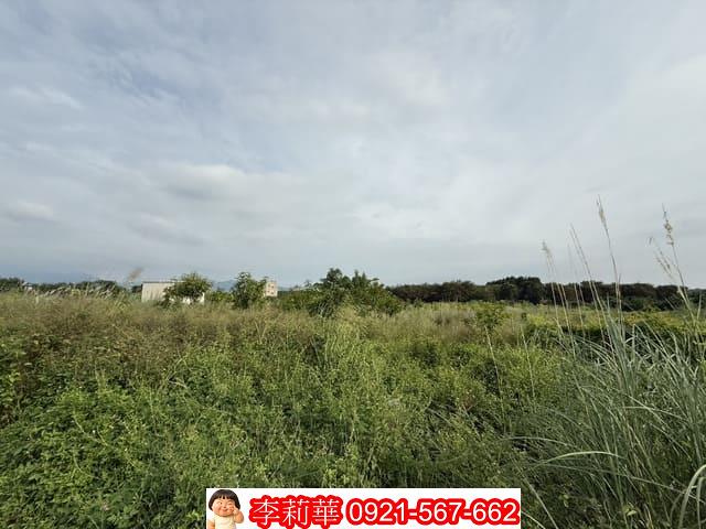 台南玉井農地-5