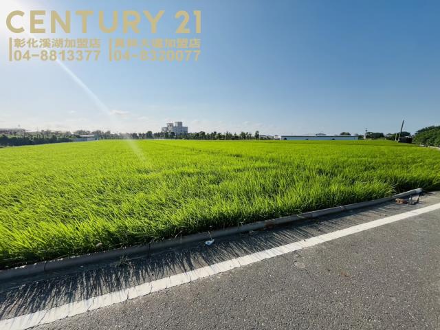 竹塘農地-5