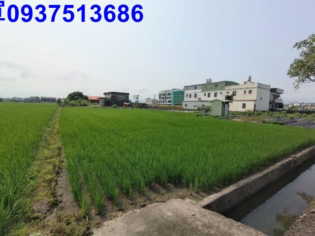 壯圍農地-11