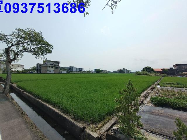 壯圍農地-2