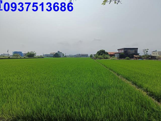 壯圍農地-6