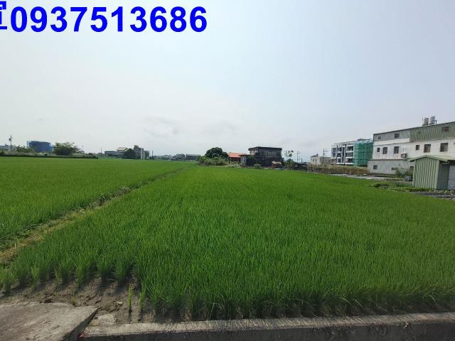 壯圍農地-7