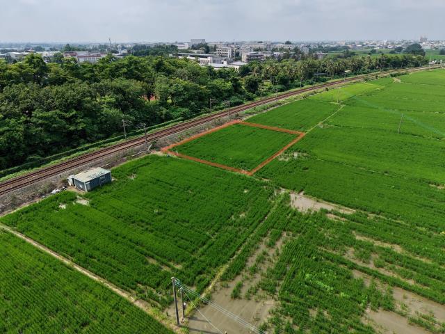 民雄農地-3