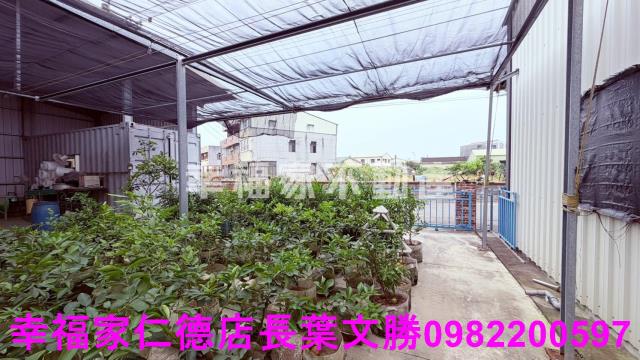 後壁農地-1
