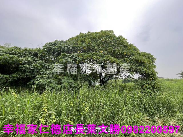 台南農地-10