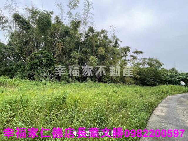 台南農地-6