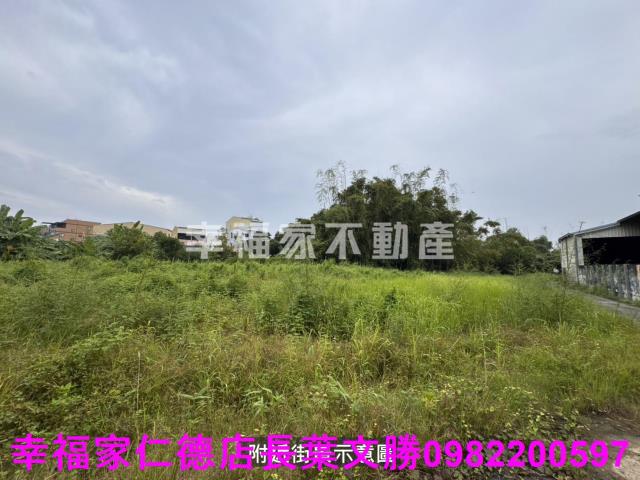 台南農地-7