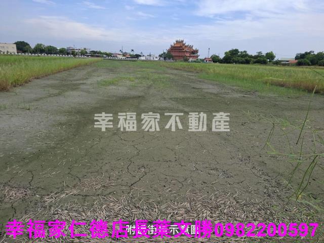 台南西港農地-7