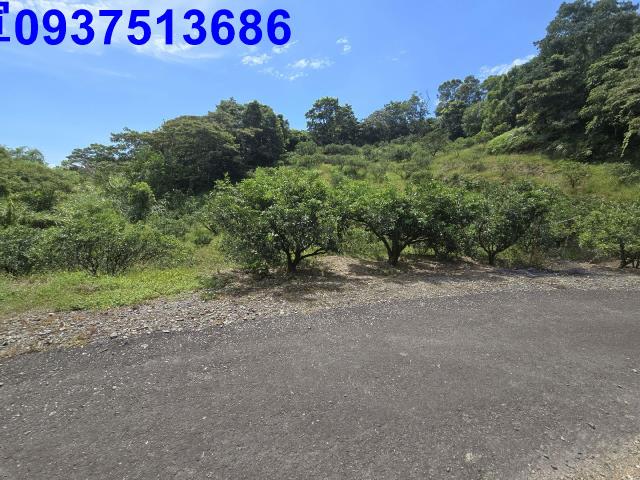 宜蘭礁溪農地-5