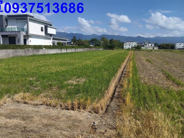 宜蘭壯圍農地-1