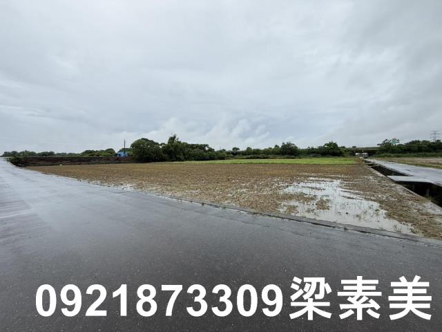 善化農地-6