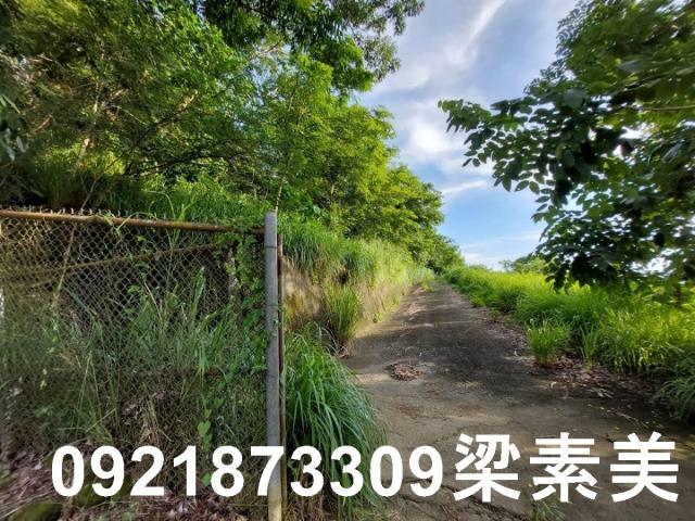 大內農地-12