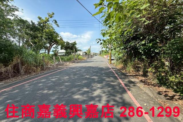 民雄農地-4
