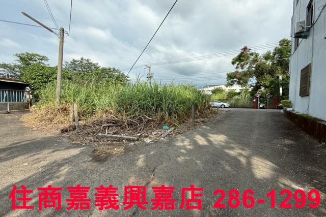 民雄農地-5
