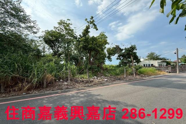 民雄農地-6