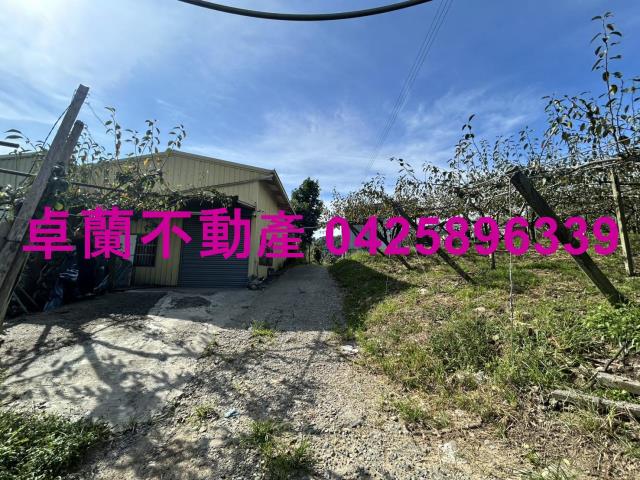 卓蘭農地-9