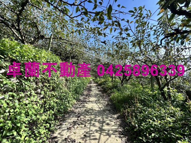 卓蘭農地-2