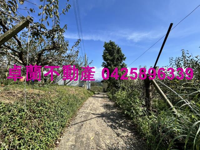 卓蘭農地-4