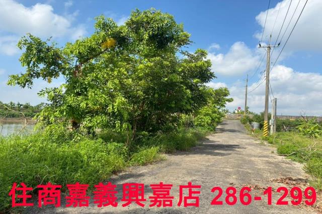 嘉義鹿草農地-10