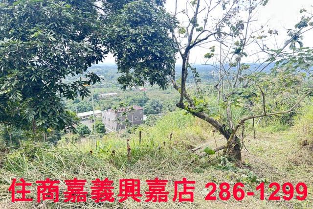 嘉義番路農地-10