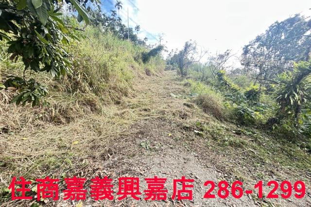 嘉義番路農地-5