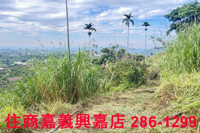嘉義番路農地-9