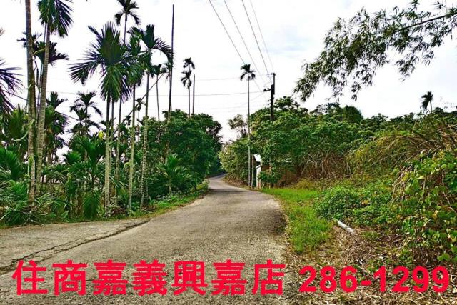 嘉義中埔農地-1