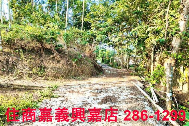 嘉義中埔農地-4