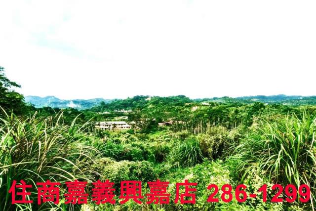 嘉義中埔農地-8