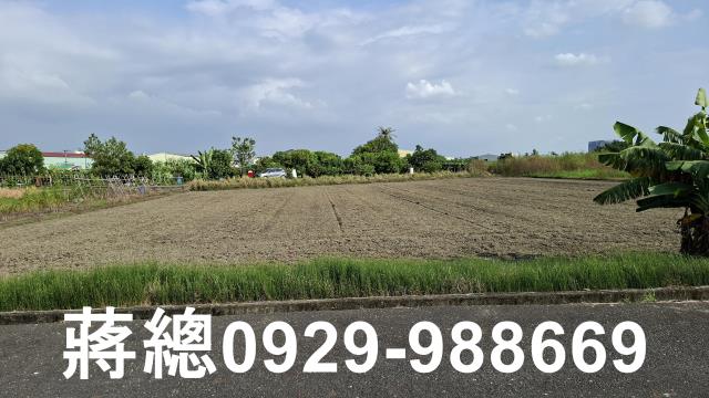台南安定農地-1
