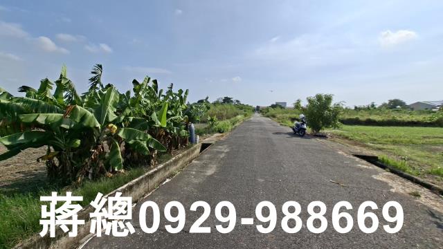 台南安定農地-8