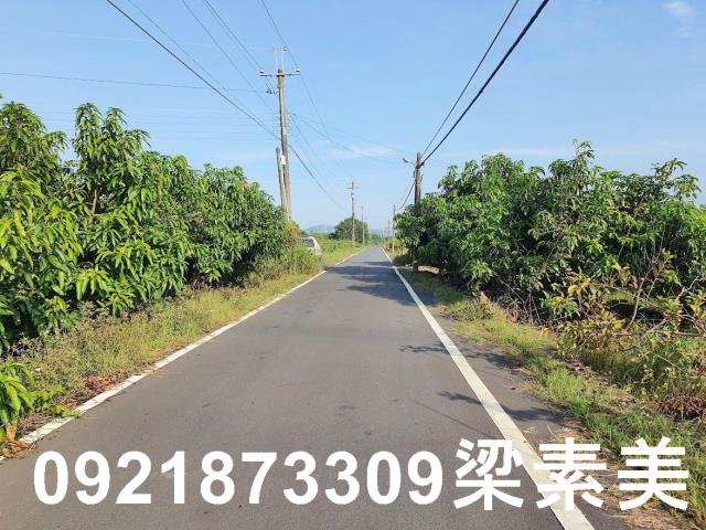 玉井農地-3