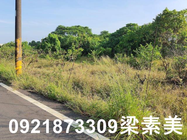 玉井農地-6