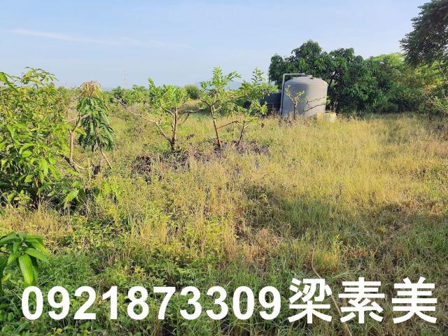 玉井農地-8