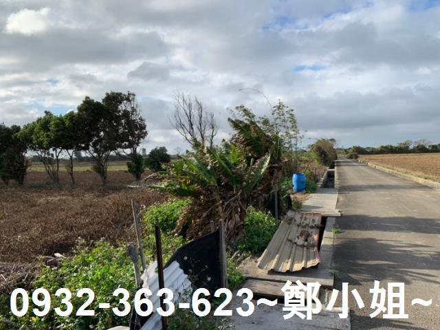 新屋農地-2