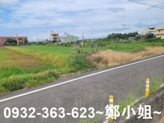 大園農地-2