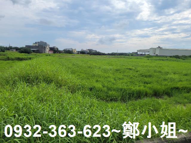 大園農地-5