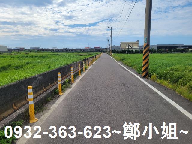 大園農地-1