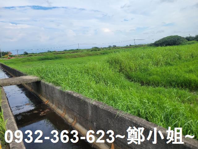 大園農地-6