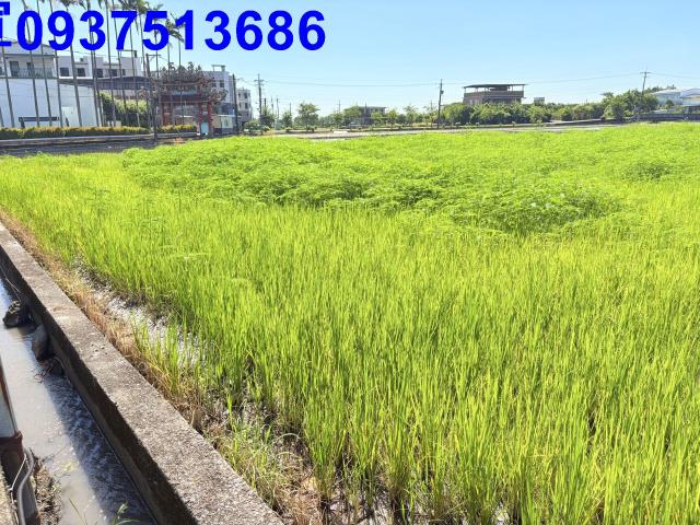 五結農地-14