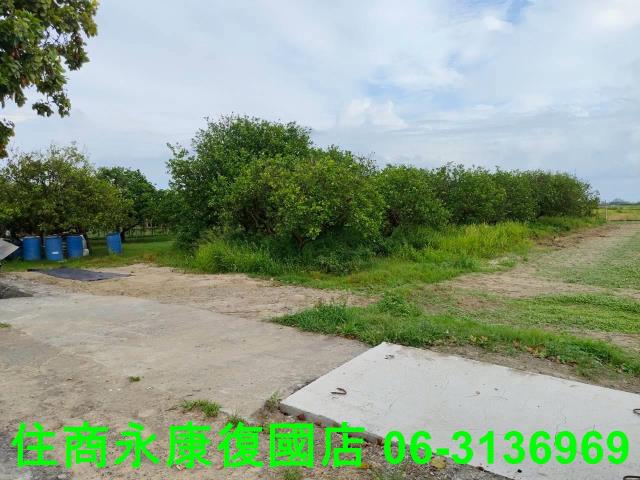 台南佳里農地-4