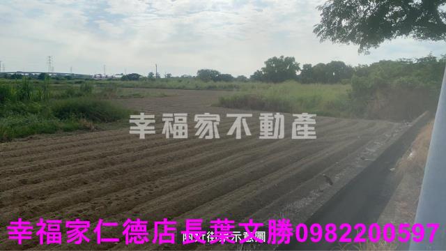 新市農地-13